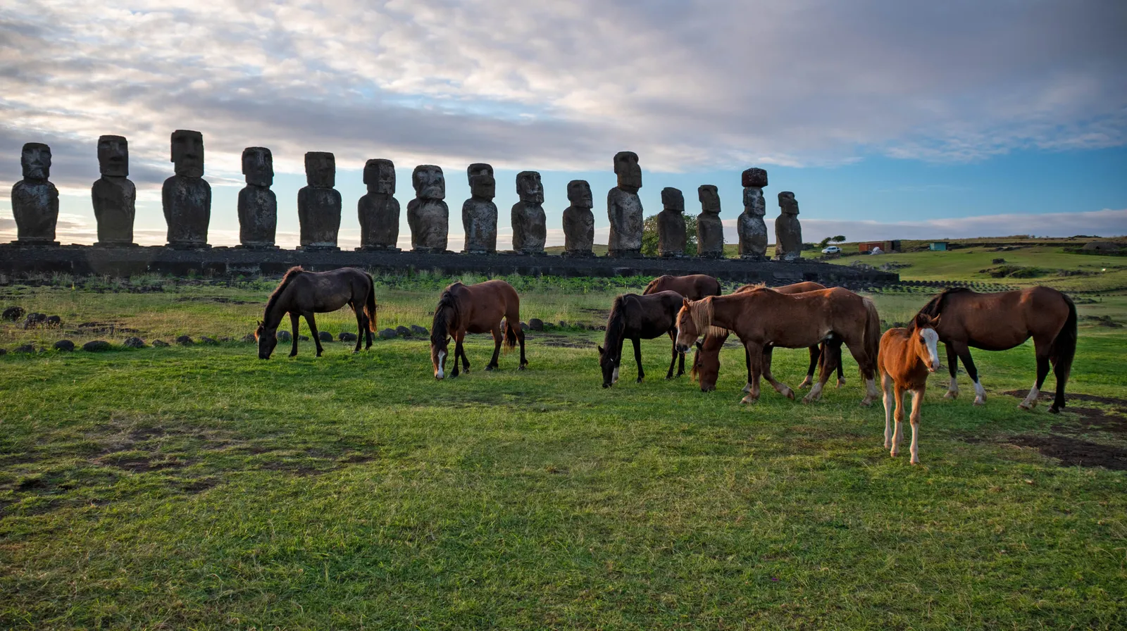 Image may contain Animal Horse Mammal Landmark Person and Anakena