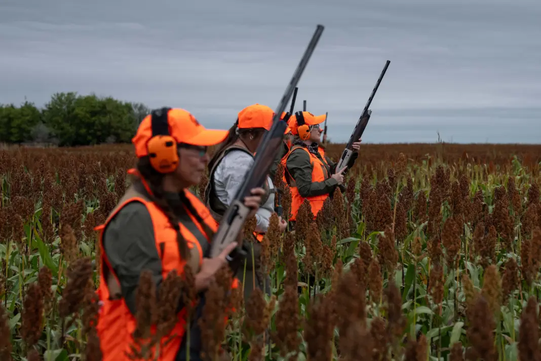 Pheasanthunt emery 20260916 byronbanasiak 151