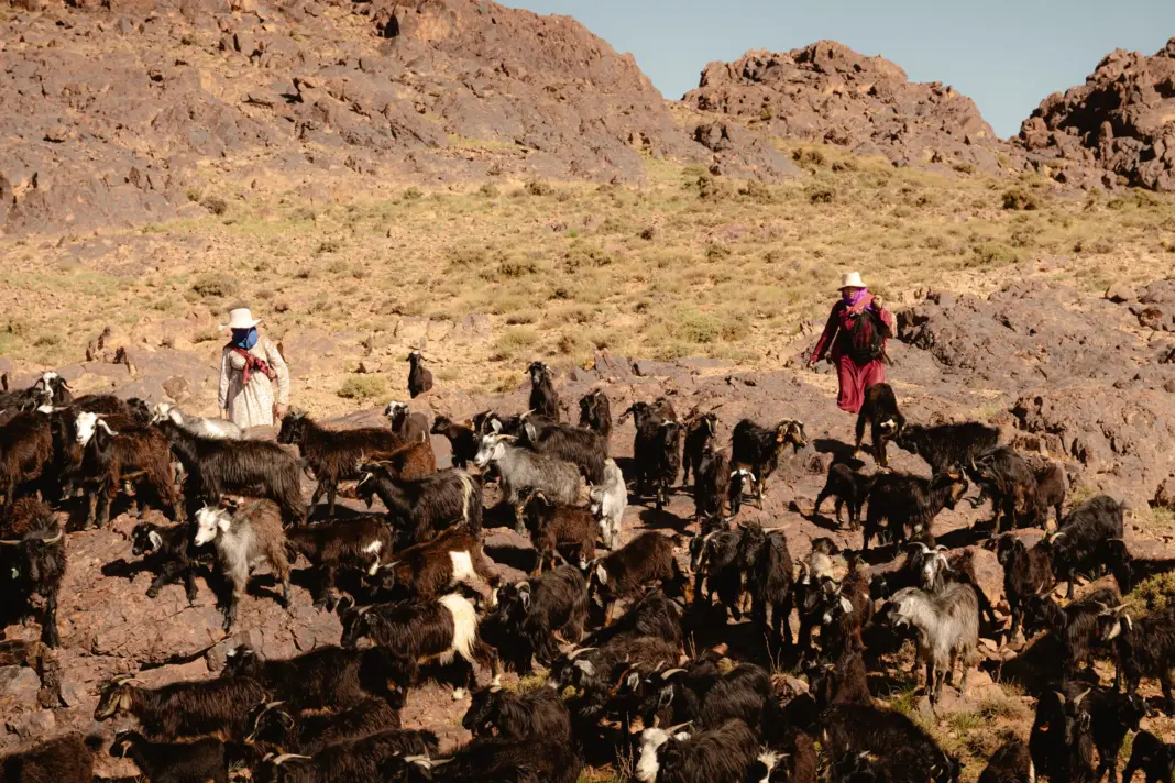 In Morocco’s High Atlas Mountains, Joining One of the Oldest Migrations in Africa The keepers morocco cnt 10