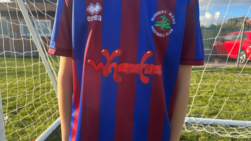 The ‘Teenage Dirtbags’ sponsored by US rock band A close up image of a red and blue striped football shirt. The Nunnery Wood Football Club logo is positioned on the right of the kit. The logo is a green tree with the writing positioned around it. Wheatus is written on the middle of the shirt in red writing.