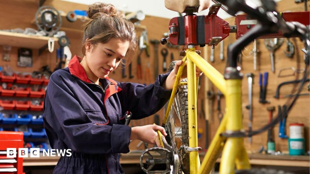 Greens would offer two-year jobs to unemployed under-24s Greens would offer two-year jobs to unemployed under-24s