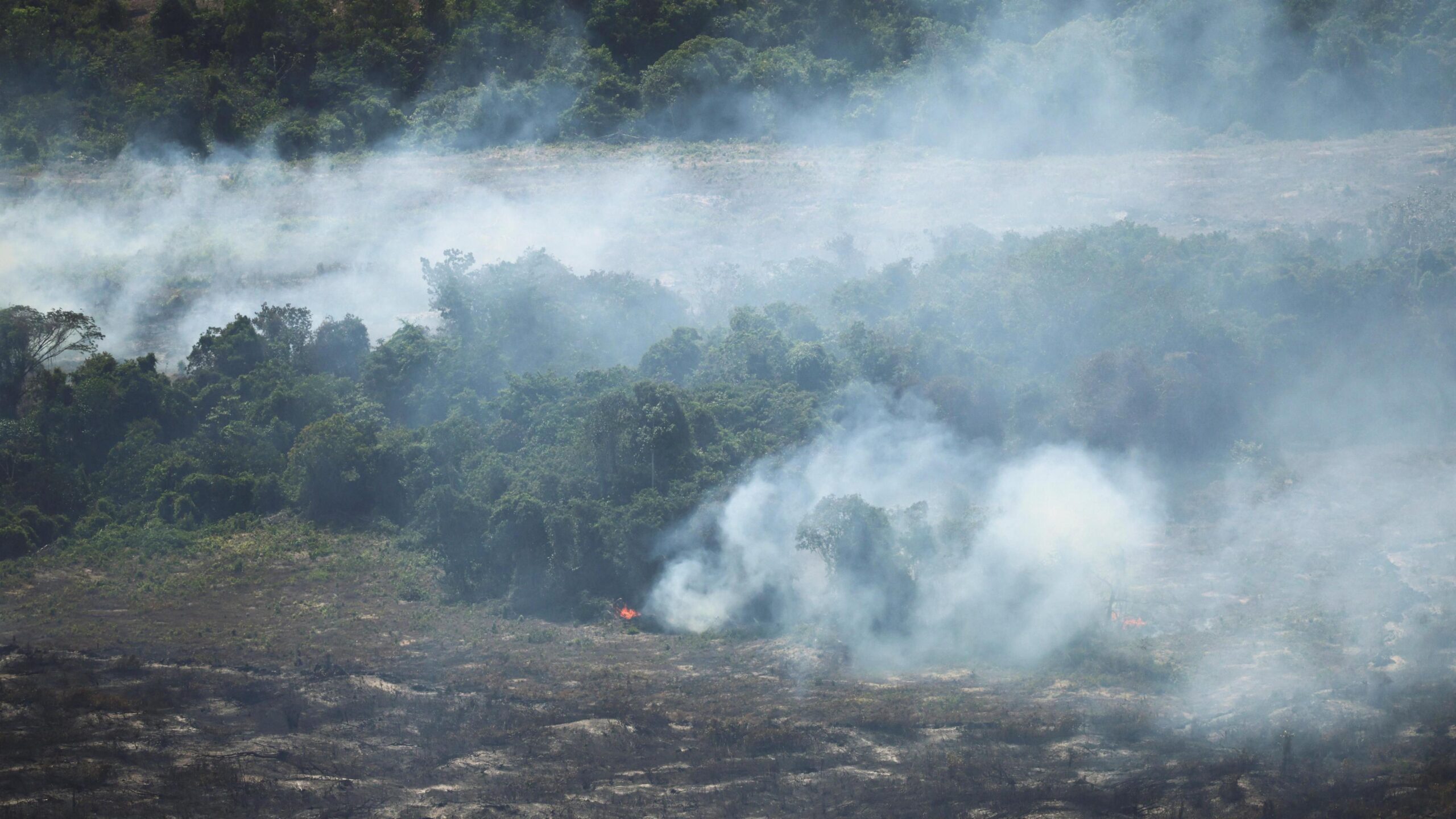 A wide view of a forest edge shows smoke drifting across recently cleared and blackened land, with small patches of fire still burning near the trees. Dense green vegetation stands in the background while a haze of grey-white smoke blankets much of the landscape, suggesting ongoing land or forest burning.