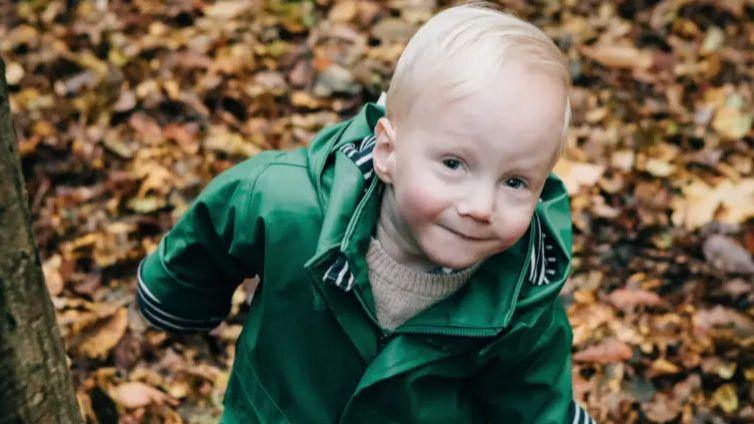 A toddler wearing a green raincoat stands in fallen leaves in a park