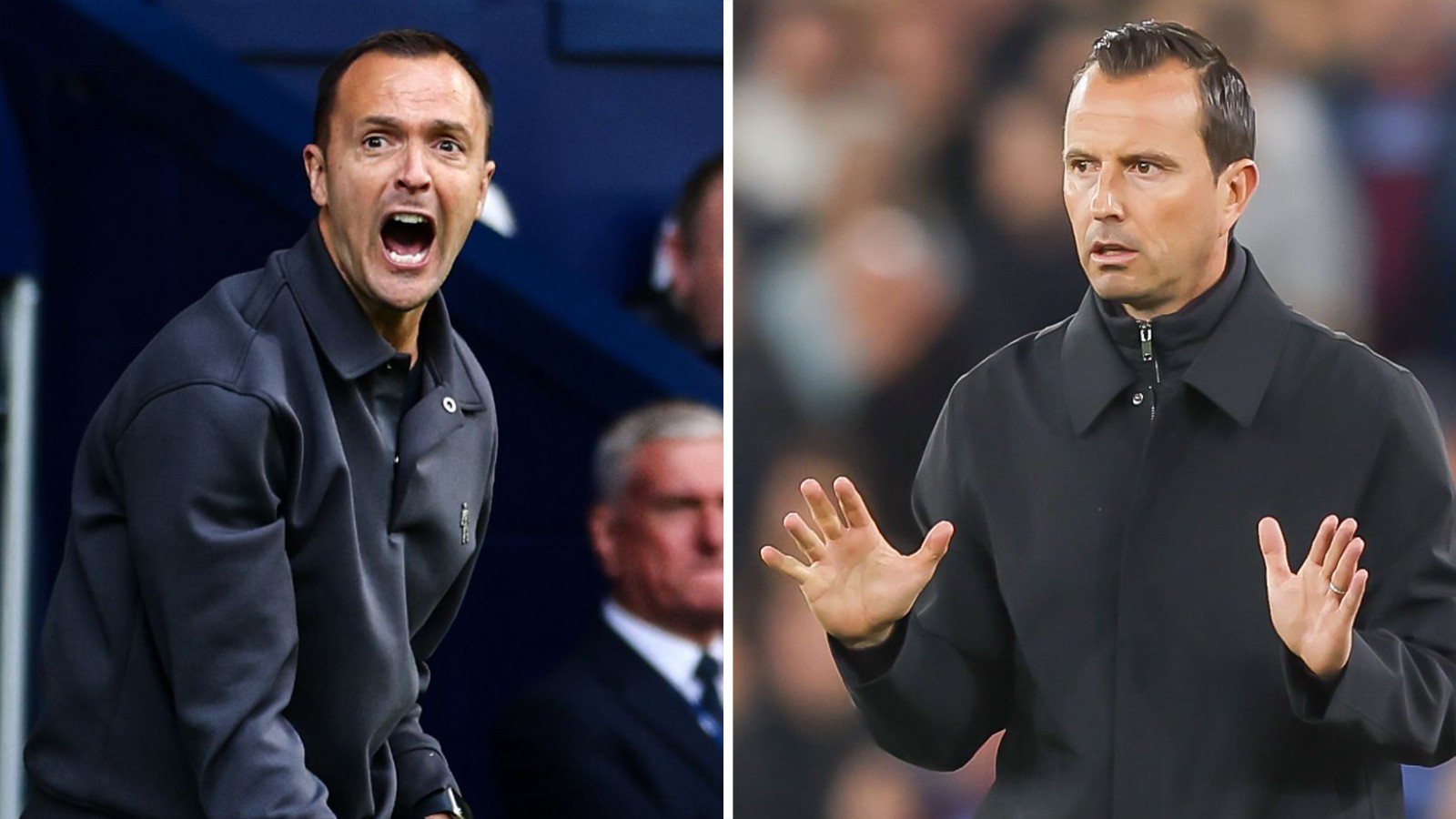 Split pic of Chris Davies shouting on the Birmingham sideline next to Julien Stephan with his hands raised in defence on the QPR sideline