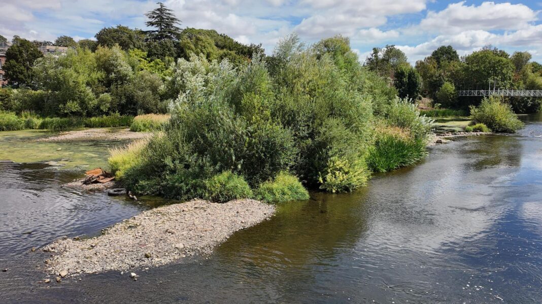 An image of the River Exe at Trews Weir where river levels are so low that atlantic salmon are struggling to migrate upstream to spawn. You can see rocky areas exposed by the lower water level and a rusted bike that has been thrown into the river