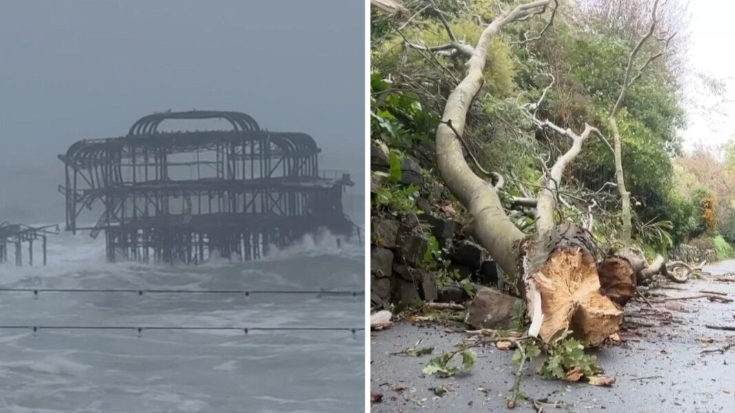 UK braces for worst of Storm Boelo as amber warnings due to come into force Left, Brighton Pier collapses amid crashing waves. Right, a broken tree lies collapsed, ripped out and on the road.