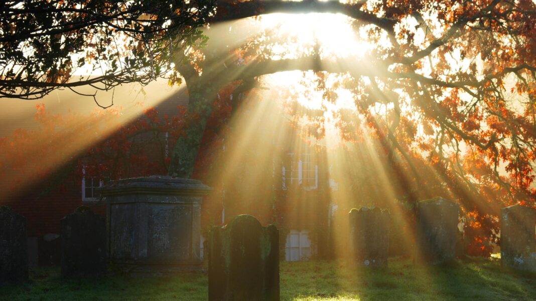 UK could see 10 days without rain after ‘wettest week in two years’ Sunlight shining through autumn trees onto old cemetery gravestones.