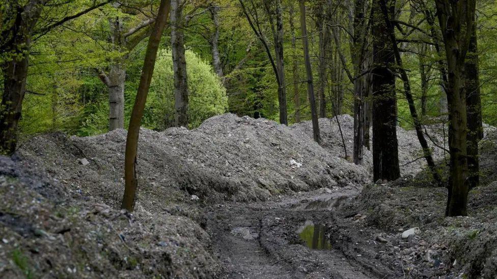 Rubbish is piled high in banks around a path through woods. The grey of the waste and the dark silhouettes of trees in the foreground contrast starkly with the green of the woodland foliage behind.