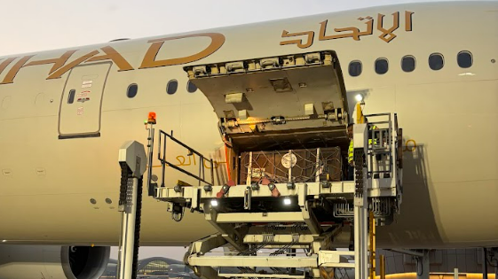 A large brown container is seen being placed inside a large grey aircraft.