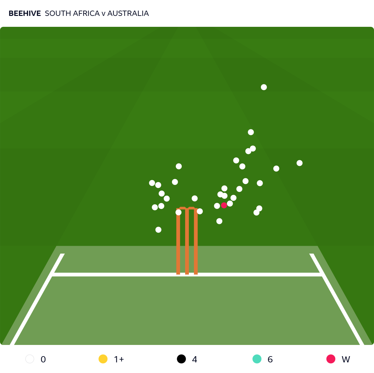 Beehive of Nic Maddinson's innings against South Africa