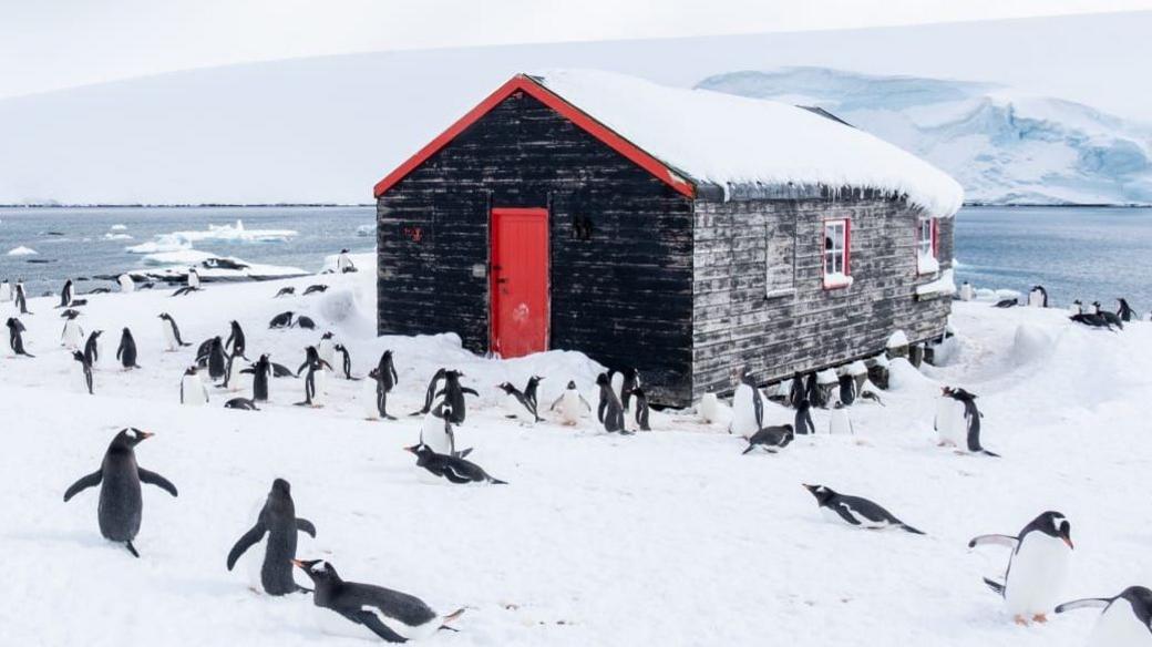 A large black single story shed building at Port Lockroy, with red door and window surrounds. Dozens of gentoo penguins can be seen around the building