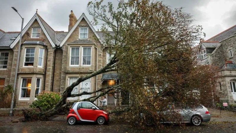 A fallen tree is seen blown over on top of a silver car in front of a house.