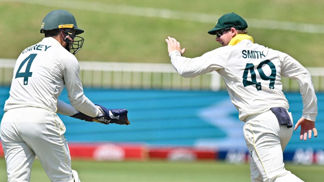 Steve Smith celebrates a wicket