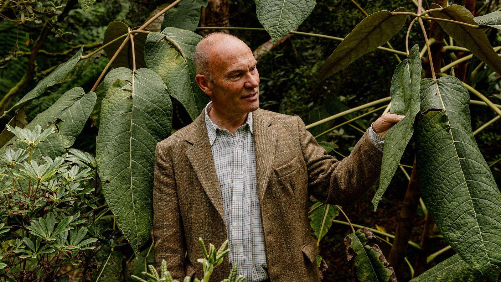 A man in a brown tweed blazer and checked shirt. He has tightly cropped hair and is standing in among plants with large leaves