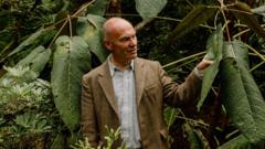 Tributes paid to man killed by falling tree in Storm Boelo Tributes paid to man killed by falling tree in Storm Boelo