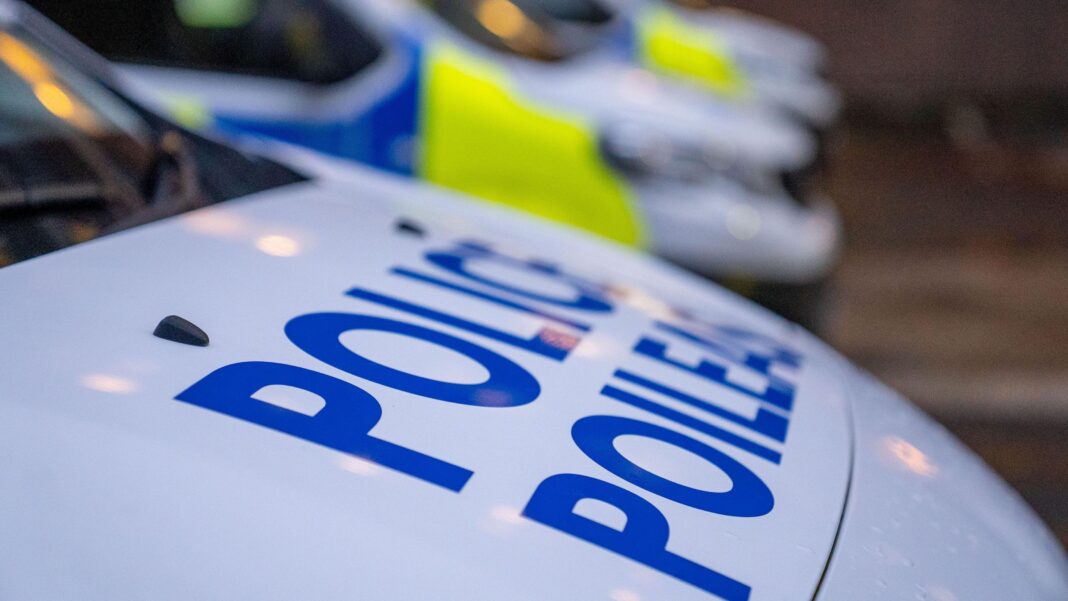Boy, 16, and 80-year-old man die in light aircraft crash near Loch Lomond police scotland cars