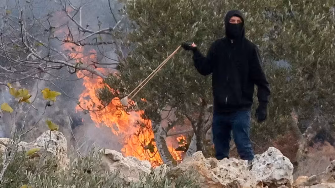 Israeli settlers attack Palestinians carrying out olive harvest in West Bank Httpsd1e00ek4ebabms cloudfront netproduction4b6bbb08 14d2 481f 94b7 e6a19ca6142c