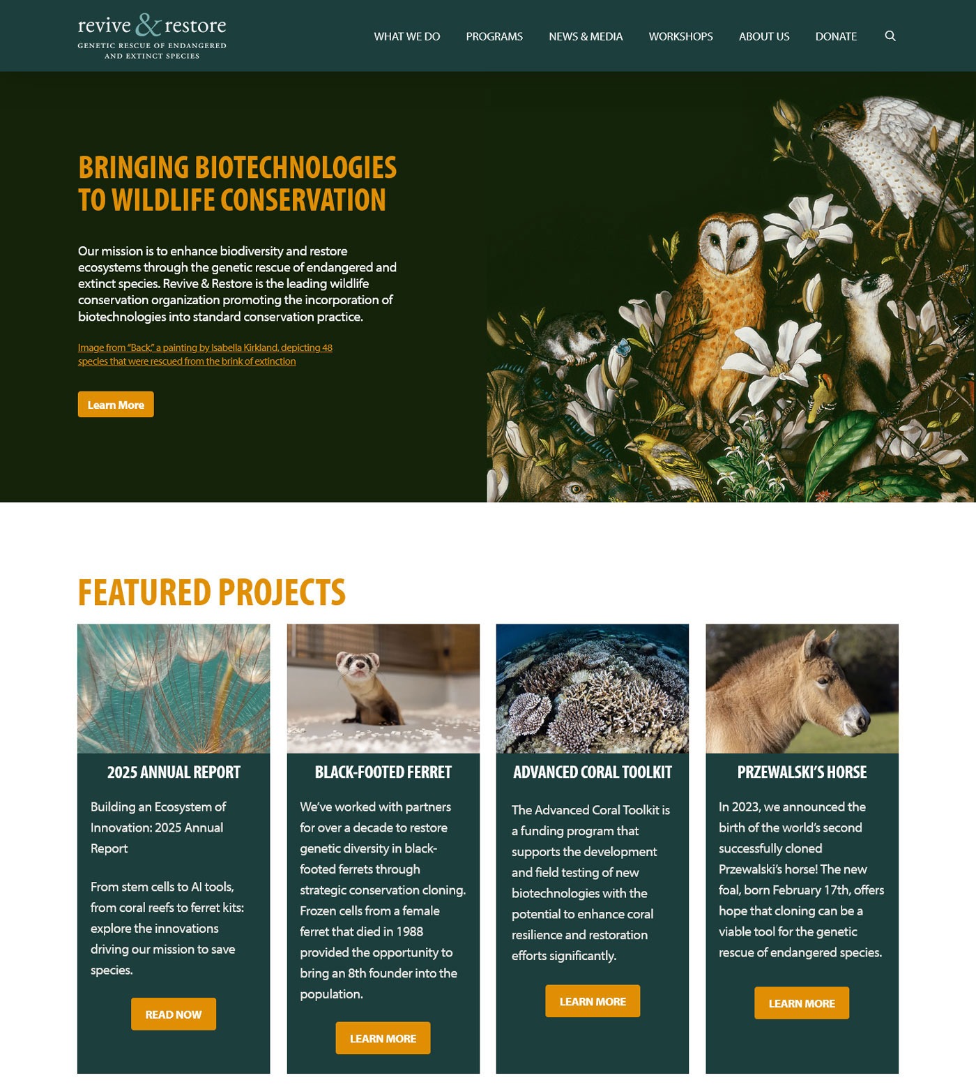 Screenshot of Revive & Restore’s homepage with wildlife artwork and featured projects on black-footed ferrets, coral conservation, and Przewalski’s horses.