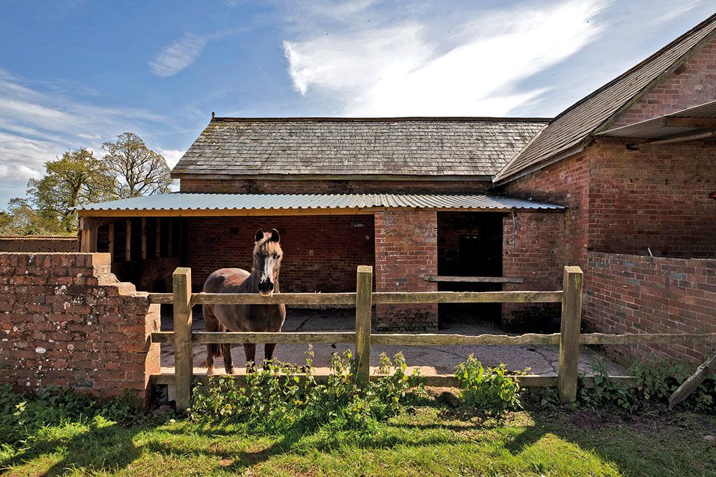 Houses for sale with stables: The Sanctuary, Shobrooke, Crediton, Devon