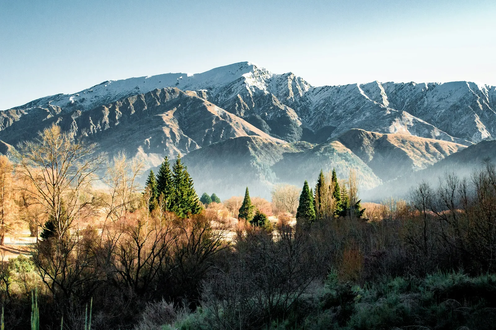Image may contain Plant Tree Nature Outdoors Wilderness Mountain Mountain Range Peak Fir Vegetation and Scenery