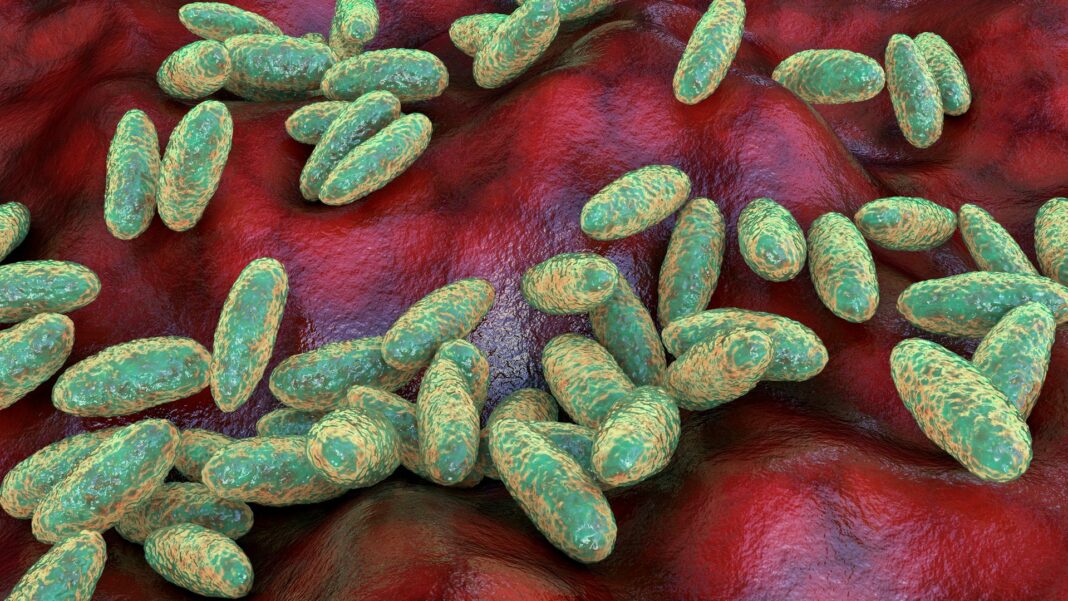 Skynews plague yersinia pestis 7368625
